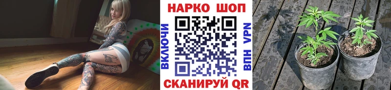 Купить наркотики Заречный Codein  COCAIN  Меф мяу мяу  Гашиш 