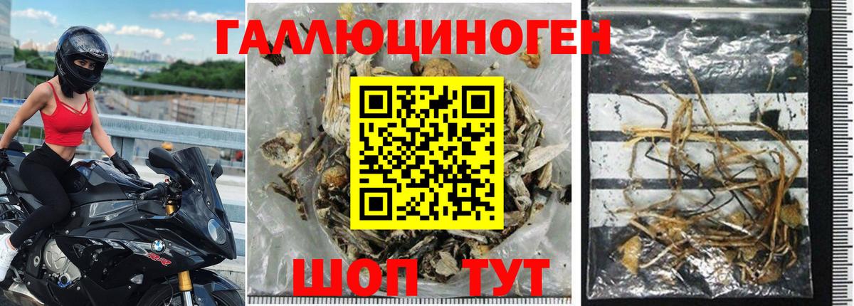 Заречный  Галлюциногенные грибы MAGIC MUSHROOMS  Псилоцибиновые грибы прущие грибы  где купить наркоту  Вход с VPN 