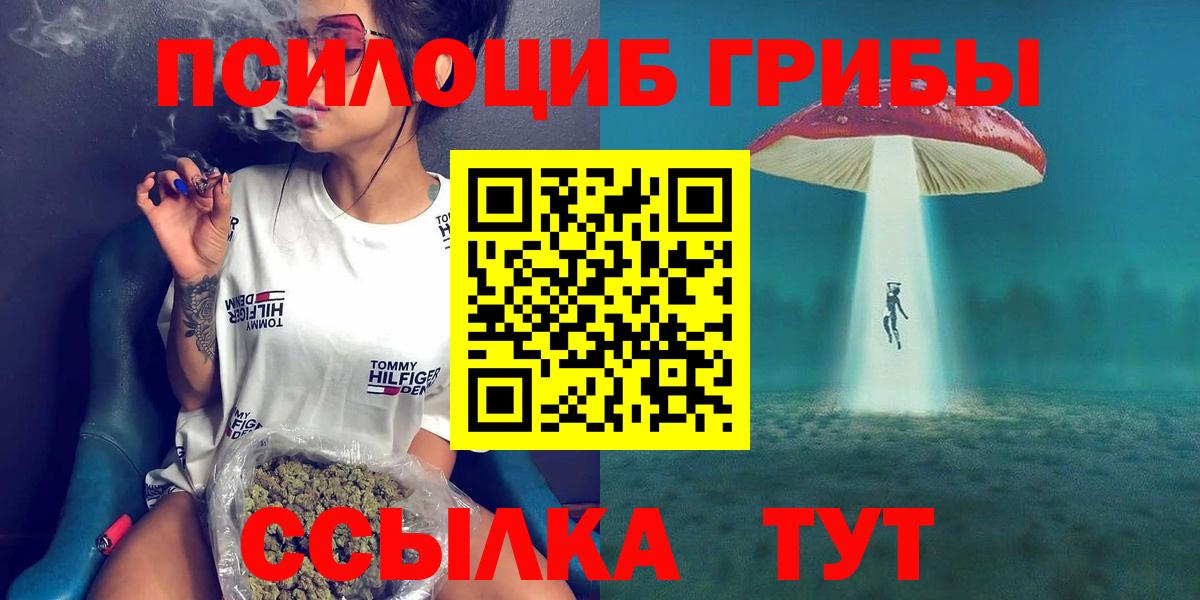 Галлюциногенные грибы Psilocybe Заречный